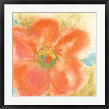 Framed Coral Poppy II Print