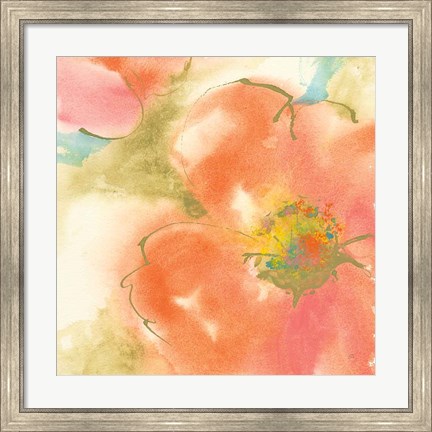 Framed Coral Poppy I Print