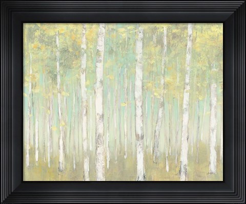 Framed Sylvan Birches Print