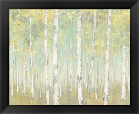 Framed Sylvan Birches Print