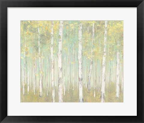 Framed Sylvan Birches Print