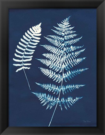 Framed Nature By The Lake - Ferns V Print