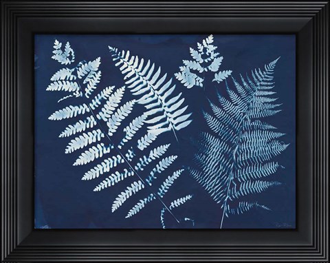 Framed Nature By The Lake - Ferns II Print