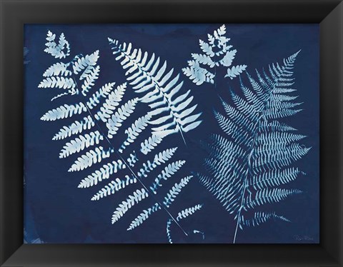 Framed Nature By The Lake - Ferns II Print