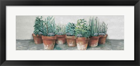Framed Pots of Herbs II Cottage v2 Print