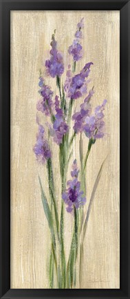 Framed Farm Flower II Print