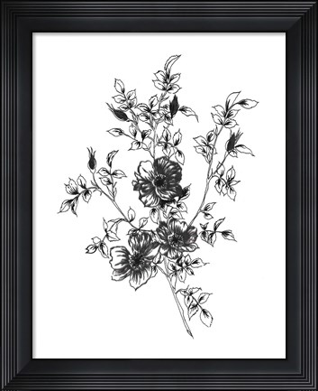 Framed Sketchbook Flowers on White II Print