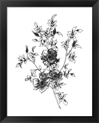 Framed Sketchbook Flowers on White II Print