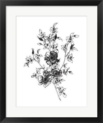 Framed Sketchbook Flowers on White II Print