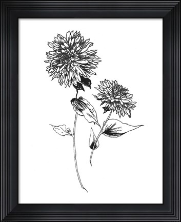 Framed Sketchbook Flowers on White IV Print