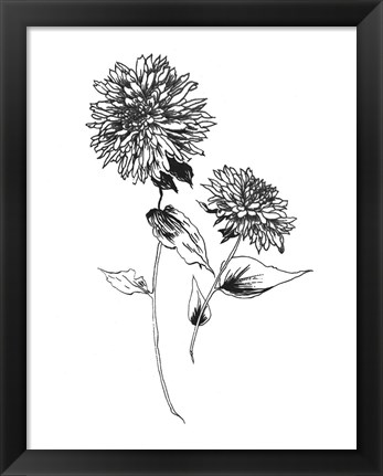 Framed Sketchbook Flowers on White IV Print