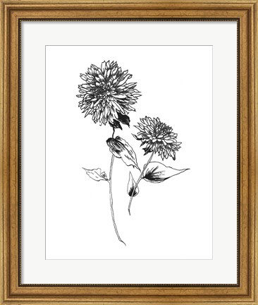 Framed Sketchbook Flowers on White IV Print