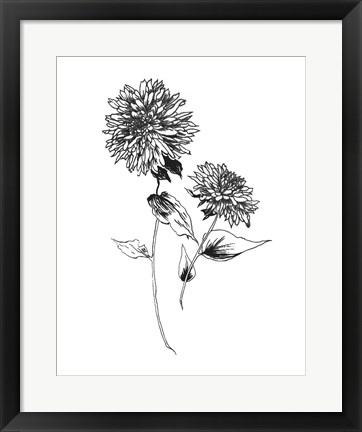 Framed Sketchbook Flowers on White IV Print