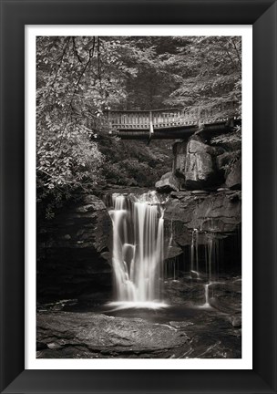 Framed Elakala Falls West II BW Print