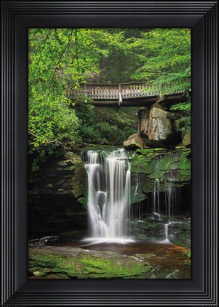 Framed Elakala Falls West II Print