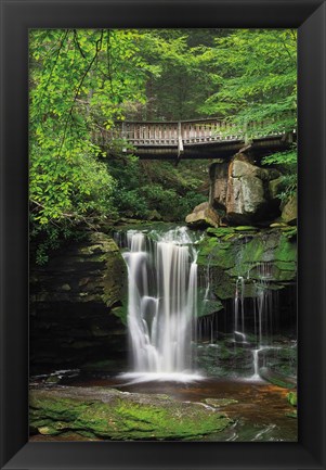 Framed Elakala Falls West II Print