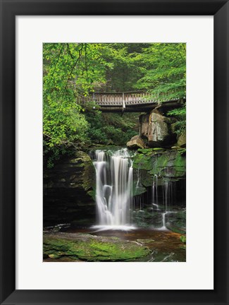 Framed Elakala Falls West II Print