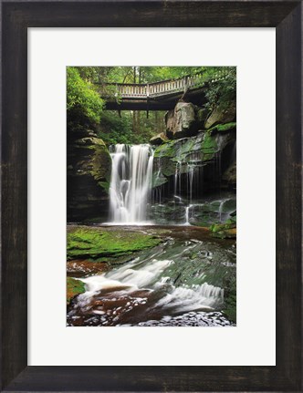 Framed Elakala Falls West I Print