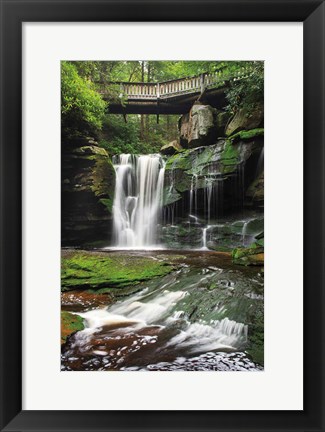 Framed Elakala Falls West I Print