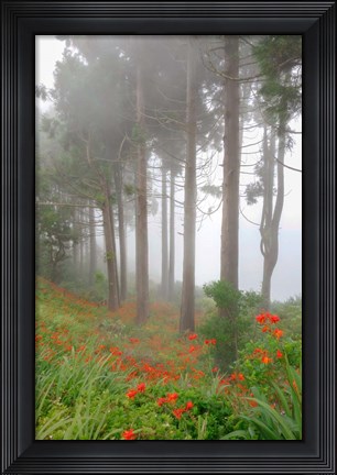 Framed Forest of The Flowers Print