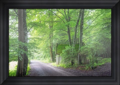 Framed Frenzy Green Print