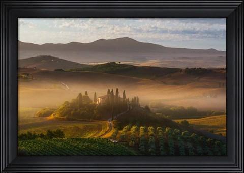 Framed Il Belvedere Print
