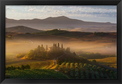 Framed Il Belvedere Print