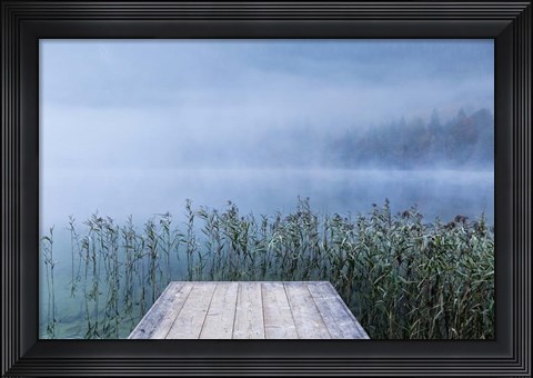 Framed Surrounded Print