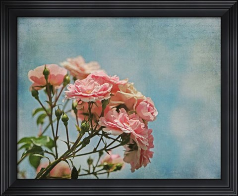 Framed Antique Roses with French Script Print