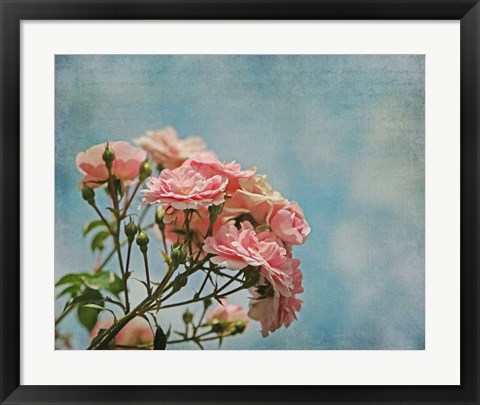 Framed Antique Roses with French Script Print