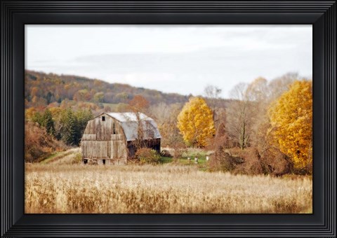 Framed Barn &amp; Beehives Print