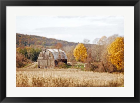 Framed Barn &amp; Beehives Print