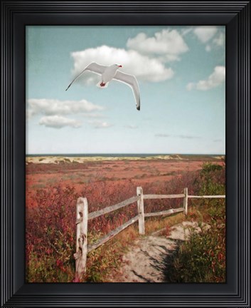 Framed Gull over Coastal Trail Print