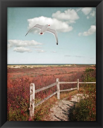 Framed Gull over Coastal Trail Print