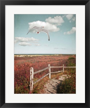 Framed Gull over Coastal Trail Print