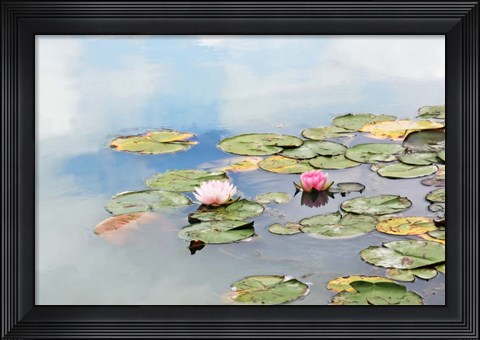 Framed Monet&#39;s Garden Print