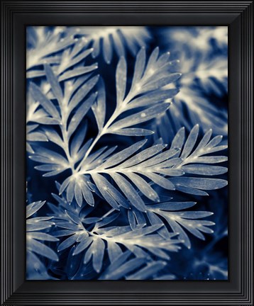 Framed Navy Blue Leaves Print