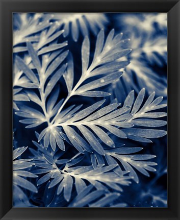 Framed Navy Blue Leaves Print