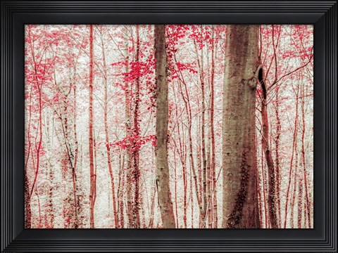 Framed Pink &amp; Brown Fantasy Forest Print
