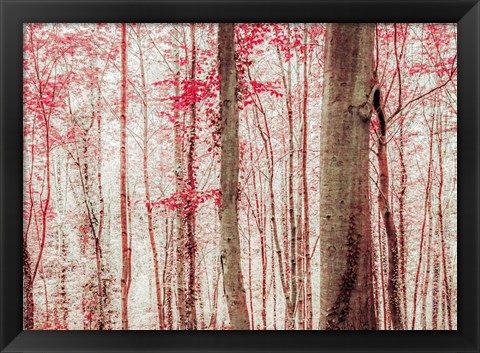 Framed Pink &amp; Brown Fantasy Forest Print