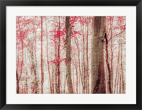 Framed Pink &amp; Brown Fantasy Forest Print