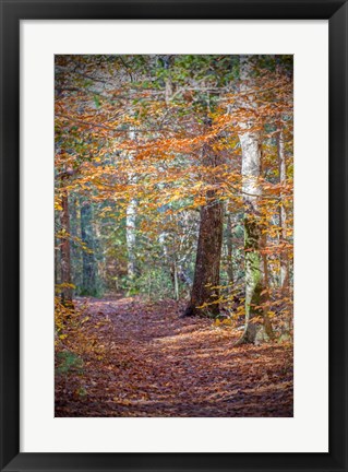 Framed Rust Fall Forest Print