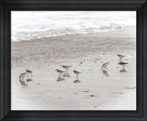 Framed Sandpipers Print