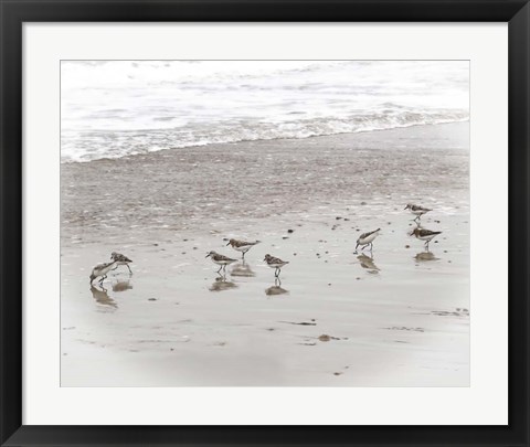 Framed Sandpipers Print