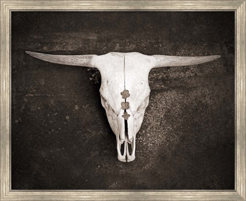 Framed Sepia Cattle Skull Print