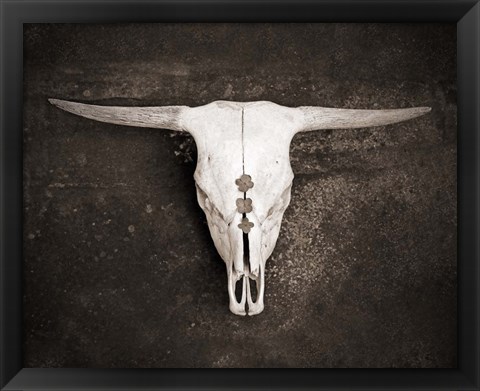 Framed Sepia Cattle Skull Print