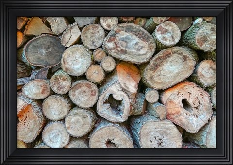 Framed Woodpile Print