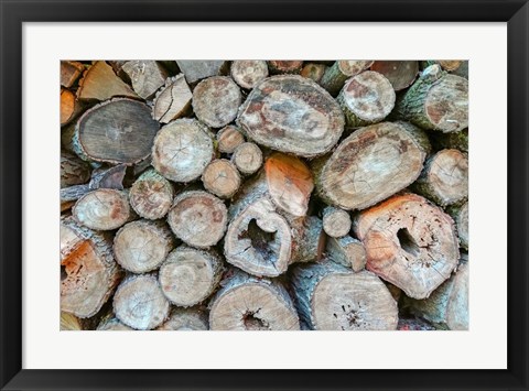 Framed Woodpile Print