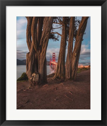 Framed Between the Trees Print