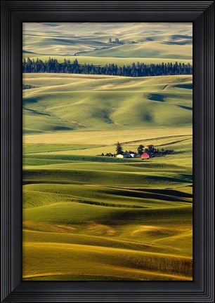 Framed Palouse #27 Print